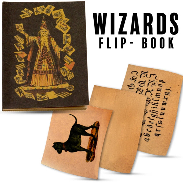 Wizards Flip-Book