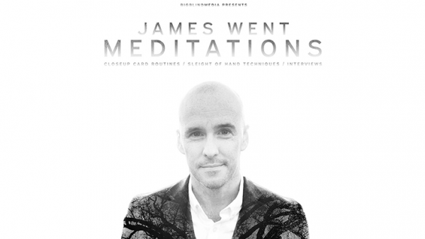 James Went&#039;s Meditations | VIDEO DOWNLOAD