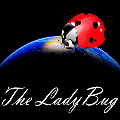 The Lady Bug - bei Zaubershop-Frenchdrop