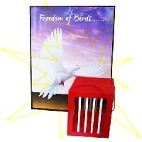 Zaubertrich Freedom of Birds bei Zaubershop Frenchdrop Zaubertrich Freedom of Birds bei Zaubershop Frenchdrop