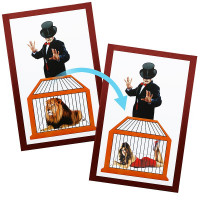 Lion to Lady Zaubertrick Lion to Lady Zaubertrick