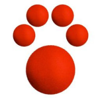 Spongy - die Schwammballfamilie bei Zaubershop Frenchdrop Spongy - die Schwammballfamilie bei Zaubershop Frenchdrop